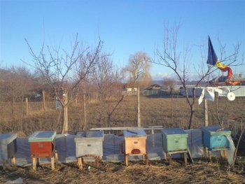 DSC02969 (Medium).JPG