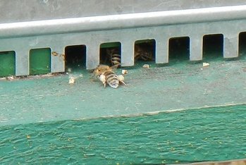 DSCN0143.JPG