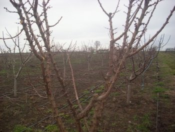 IMG_1874.JPG