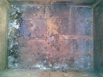 Imag009.jpg