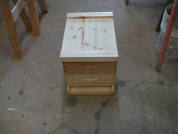 honey-bee-hive-outer-cover-9.jpg