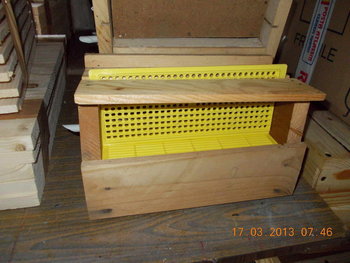 rsz_dscn0605.jpg