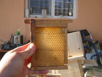 IMG_1546.JPG