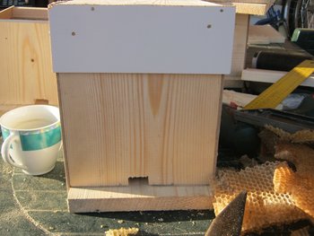 IMG_1542.JPG