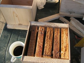 IMG_1544.JPG