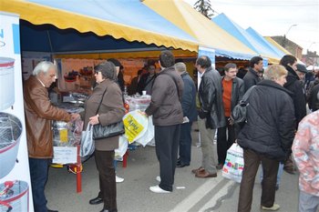 DSC_0366 (Medium).JPG