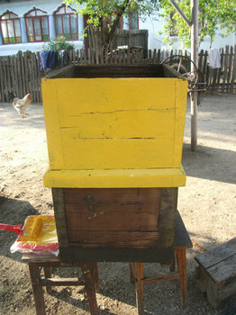 39498454_KOFAIPNZT.jpg