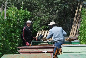 DSC_0409 (Copy).JPG