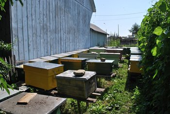 DSC_0823 (Copy).JPG