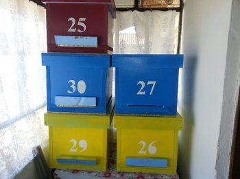2013-03-23 10.43.48.jpg