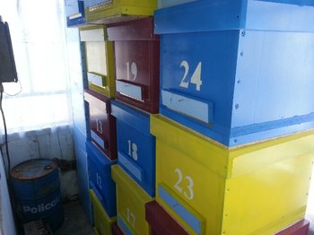 2013-03-23 10.43.25.jpg