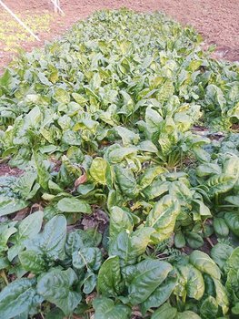 DSCN0734.JPG