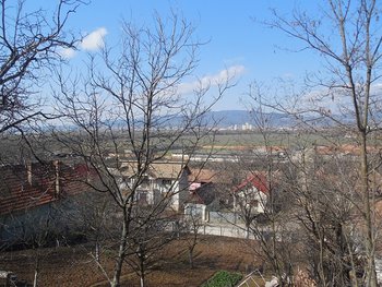 DSCN0772.JPG