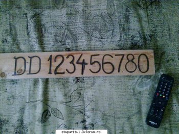 ok_150233.jpg