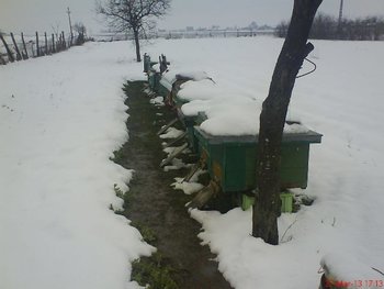 DSC08501.JPG