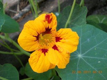 rsz_dscn0893.jpg