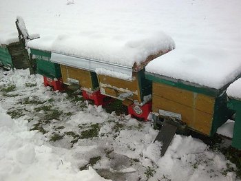 Image001.jpg