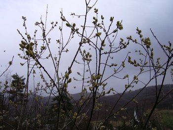 100_1610-resize.jpg