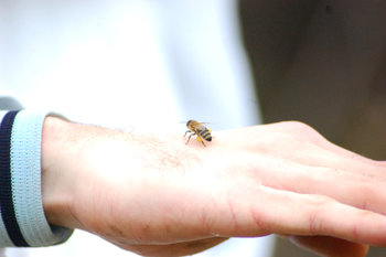 DSC_9396.jpg