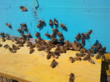 2013-04-01 13.21.41.jpg
