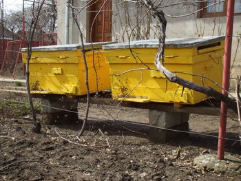DSCF6326.JPG