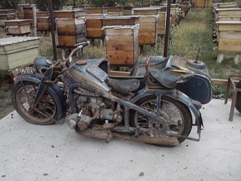 P180912_10.56 (Small).jpg