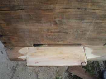 DSC03070 (Medium).JPG