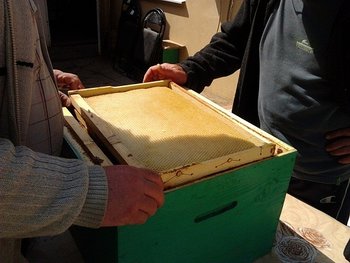 2013-04-11 13.22.13.jpg