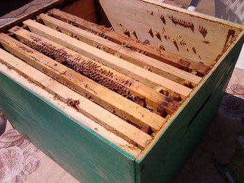 2013-04-11 13.28.18.jpg