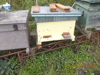 STUPINA LUI FLORINELU 006.JPG