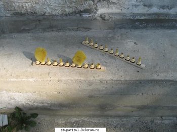 ok_164903.jpg