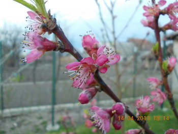 rsz_picture_032.jpg