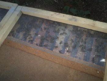 DSC03085 (Medium).JPG