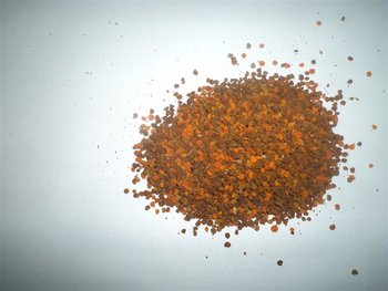 DSC03134 (Medium).JPG