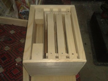 21022011514 (Medium).jpg