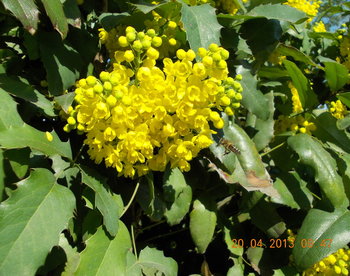 rsz_4dscn0865.jpg