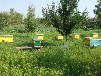 DSCF1288 (Small).JPG