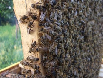 DSCF1277 (Small).JPG