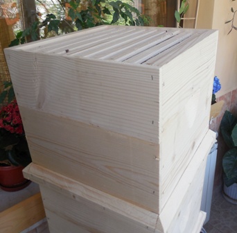 DSCN3185.JPG