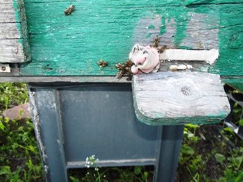 DSCF1272.JPG