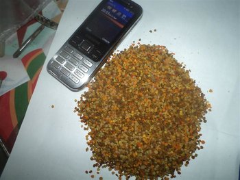 DSC03172 (Medium).JPG