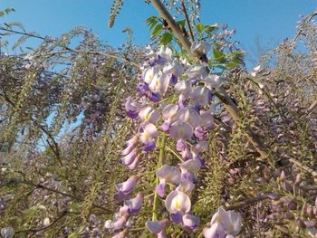 2013-04-27 18.51.04.jpg
