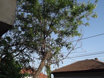 1DSCF1933.jpg