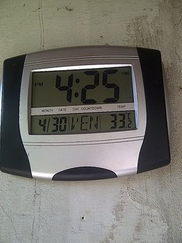 1IMG-20130430-00806.jpg