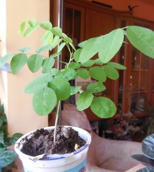 DSCN3211.JPG