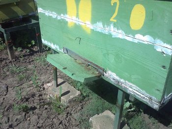IMG598.jpg