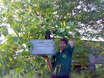 29052011087 (Copy).jpg