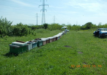 rsz_1picture_007.jpg