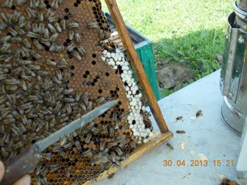 rsz_1picture_014.jpg