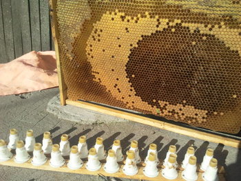 2013-05-01 08.36.48.jpg